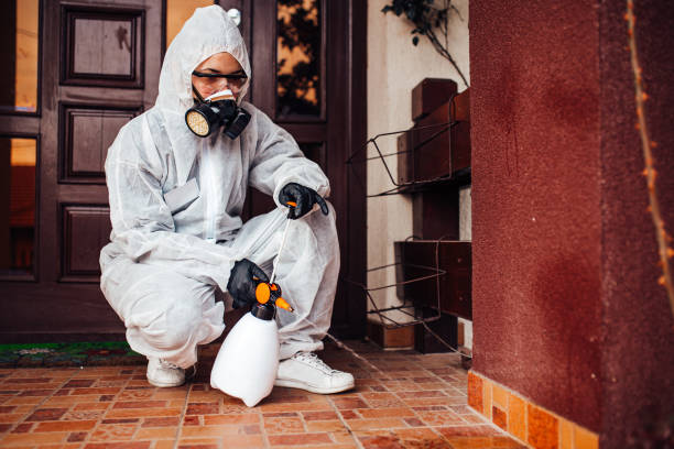 Reliable Cockroach Control contractor in Grand Saline, TX by Nex Pest Control